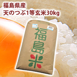 福島県産天のつぶ1等玄米 30kg
