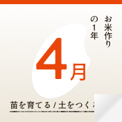 4月 苗を育てる / 土をつくる